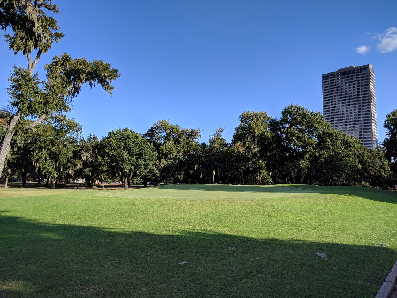 kiwi insulator symmetri Hermann Park | Houston, TX